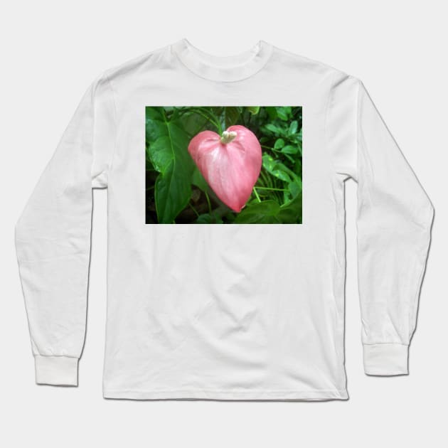 Love Nature Long Sleeve T-Shirt by BSCustoms